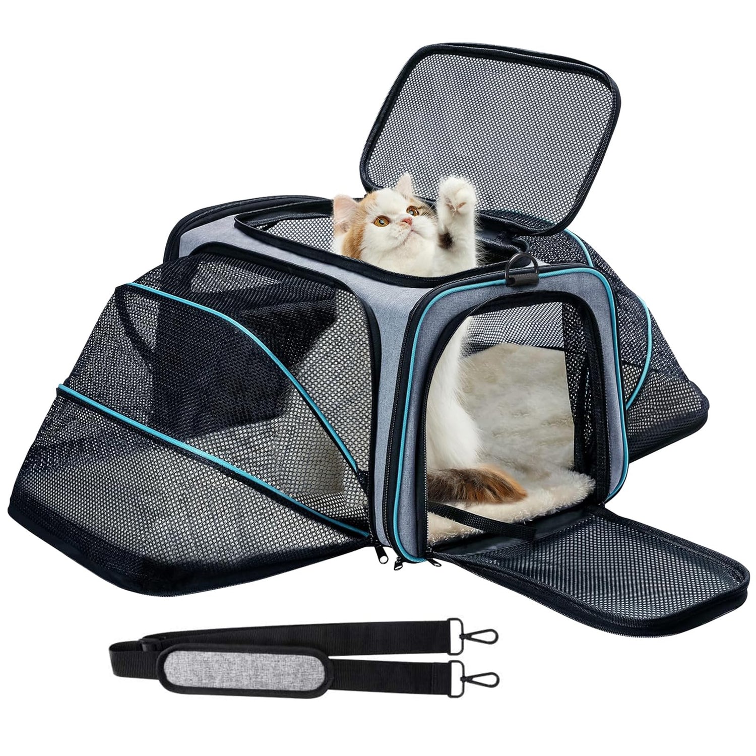 Cat Carriers